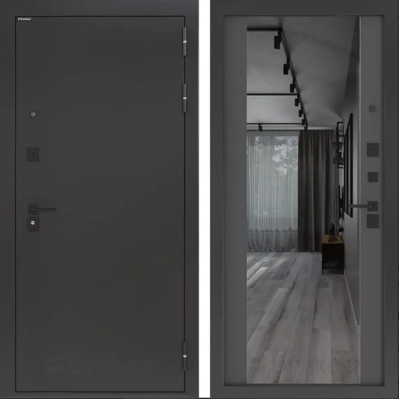 Фото Дверь BN-01.1 DIS006812